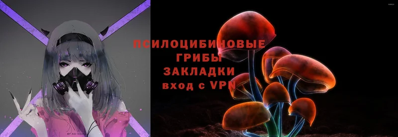 Псилоцибиновые грибы Psilocybe  Александров 